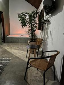 a chair and a table with a potted plant at Pousada Chalés da Lua in Munhoz