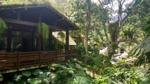 una cabaña de madera en un bosque con un arroyo en Casa com cachoeira e rio particular en Petrópolis