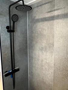 a glass shower door with a shower head at Wellness Chalet Veluwemeer in Biddinghuizen