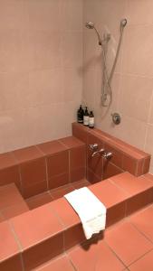 een badkamer met een douche en bruine tegels bij Ant on Monateric in Stanley