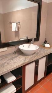 een badkamer met een wastafel en een grote spiegel bij Ant on Monateric in Stanley