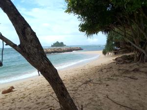 a view of a beach with a tree at GALINA BEACH RESORT in Weligama