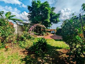 een tuin met planten en een huis met een boom bij Spacious house, green areas, close to Río Celeste, Toucans House in Bijagua