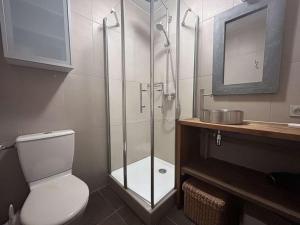 a bathroom with a shower and a toilet and a sink at Studio/Coin montagne - 4 pers, proche pistes & commerces, balcon, parking, WIFI - Méribel - FR-1-180-599 in Les Allues +23 photos