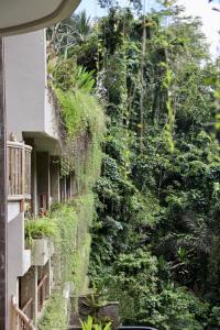 a wall of plants and trees next to a building at Kenran Resort Ubud By Soscomma in Ubud
