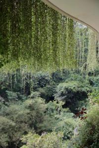 a bunch of green moss hanging from a ceiling at Kenran Resort Ubud By Soscomma in Ubud