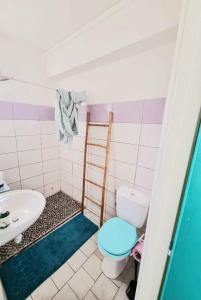 ein Bad mit einem WC und einem Waschbecken in der Unterkunft Studio centre de Fort-de-France in Fort-de-France