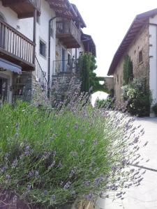 Giardino di Boutique Hotel Dvor