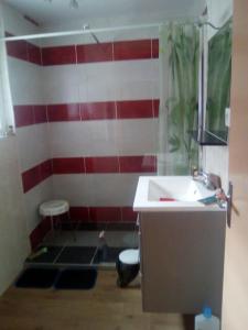 uma casa de banho com uma parede com riscas vermelhas e brancas em Au Bon vivre chez gégé 13 quartier de la Bessède em Florac