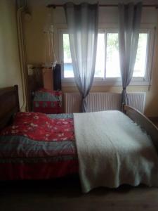 1 dormitorio con cama y ventana en Au Bon vivre chez gégé 13 quartier de la Bessède, en Florac