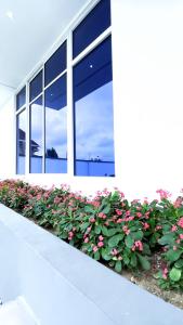 a building with pink flowers in front of a building at Contemporary 4-Bedroom Villa with VR Room and Starlink Internet - Ifemide Estates in Akure