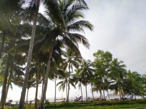 a group of palm trees on the beach at Aloha Living in Pangandaran