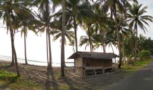 a shack on the side of a beach with palm trees at Aloha Living in Pangandaran