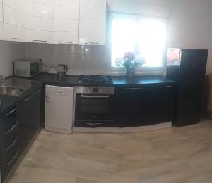 A kitchen or kitchenette at Apartment Dvorak