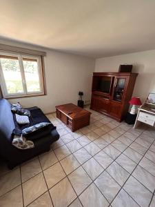 a living room with a couch and a tv at Chambres des arrys in Bas-en-Basset