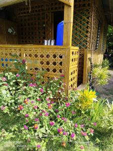 a garden with pink flowers in front of a house at Shirley's Cottage - Pamilacan Island in Baclayon