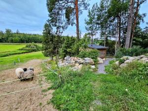 Duas ovelhas estão num jardim com pedras. em Luksusta mökkeilyyn Villa Sörkkä em Metsämaa