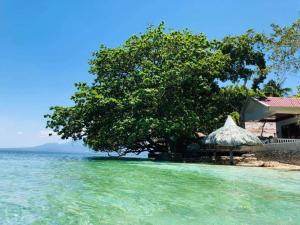 桑坦德的住宿－Melbas Homestyle Resort & SPA，海边的树,房子旁边