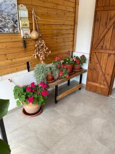 um grupo de vasos de plantas sentados numa mesa de madeira em The Old Coffeehouse em Kalopanagiotis