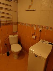 a small bathroom with a toilet and a sink at Apartmán blízko centra Levice in Levice