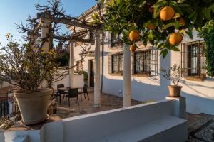 an orange tree in front of a house at Carmen de la Alcubilla del Caracol in Granada