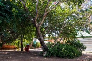 a tree in a yard next to a garage at Yaxida's Warmth in Kasane