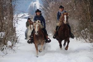 un groupe de personnes à cheval dans la neige dans l'établissement Ferienwohnung mit wunderschöner Bergkulisse, à Matrei in Osttirol