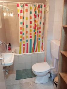 a bathroom with a toilet and a shower curtain at Cozy studio flat 1 bedroom-Very central location in Mytilini
