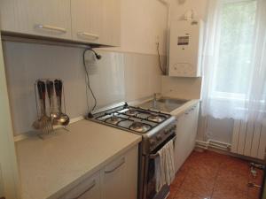 uma pequena cozinha com um fogão e um lavatório em Lary apartament em Suceava