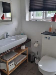 La salle de bains est pourvue d'un lavabo, de toilettes et d'un miroir. dans l'établissement Under Regnbuen, dit fristed på Hærvejen, à Them