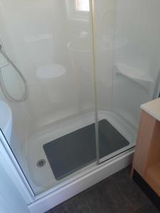a shower with a glass door in a bathroom at Kingfisher Quay Lodge in Clacton-on-Sea