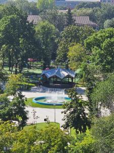Garsoniera Dary strada Mihai Bravu bloc G1 Vis a Vis de ROYAL PALACE في Turnu Măgurele: حديقة بها نافورة في وسط الحديقة