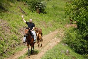 Катание на лошадях на территории гостевого дома или поблизости