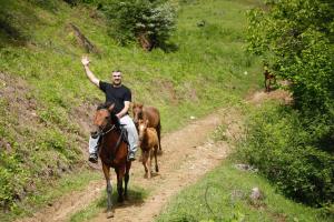 a man riding a horse down a dirt path with three animals at Gentry House in Ambrolauri