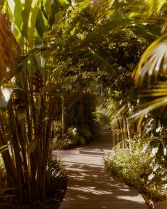 a path through a garden with trees and plants at The Sunseeker, Byron Bay in Byron Bay +44 photos