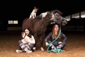 zwei Frauen und ein Hund, der auf dem Rücken eines Pferdes sitzt in der Unterkunft Tierpark Entdeckerhäuser in Wagenfeld