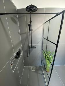 a shower with a glass door with a plant in it at Klidi Apartment in Tirana