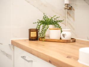 una estantería de madera con plantas en la parte superior de la barra del baño en OAK TREE Apartment en Dąbrowa Górnicza