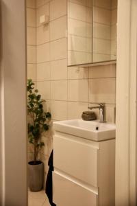 a bathroom with a sink and a potted plant at Stylish 3-room apartment with balcony and free parking in Oslo