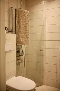 a small bathroom with a toilet and a shower at Stylish 3-room apartment with balcony and free parking in Oslo