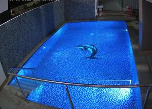 a dolphin swimming in a pool with blue lights at Vualiku Hotel & Apartments in Nadi