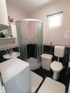 a bathroom with a shower and a toilet and a sink at Airport Apartment in Surčin