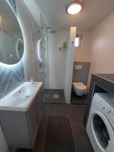 een badkamer met een wastafel en een wasmachine bij 't Zyper Eilant 123 in Oudesluis