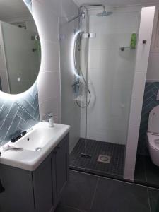 een badkamer met een wastafel, een douche en een toilet bij 't Zyper Eilant 123 in Oudesluis