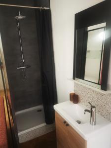 La salle de bains est pourvue d'un lavabo et d'une douche avec un miroir. dans l'établissement Studio - un lit en ville, à Ath