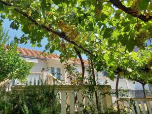 a house with a white fence and trees at Apartman Maslovar in Kotor