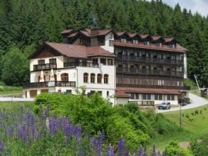 een groot gebouw op een heuvel met paarse bloemen bij Hotel Zieleniec in Zieleniec