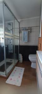 La salle de bains est pourvue d'une douche en verre et de toilettes. dans l'établissement Casa Ruán, à Carnota