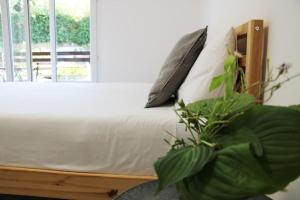 - une chambre avec un lit doté d'oreillers et d'une plante dans l'établissement Lovely Studio with Free Parking!, à Lugano