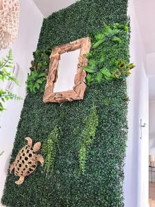 a ivy covered wall with a turtle and a mirror at Le Nouméa, T2, Hyper Centre Mâcon, Square de la Paix in Mâcon